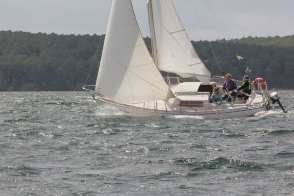 ACE femme à la barre – photo 91