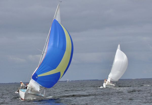 Championnat de printemps – photo 36
