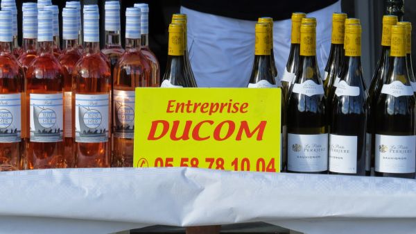 Régate Ducom & Fils – photo 87