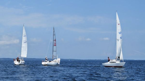 La solitaire – photo 22