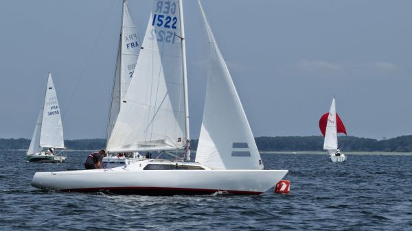 La solitaire – photo 40