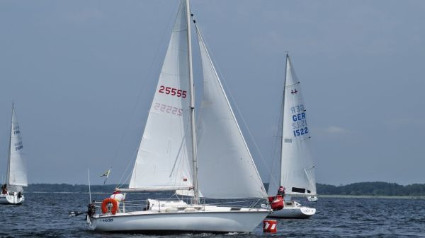 La solitaire – photo 43