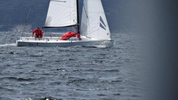 La solitaire – photo 52