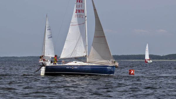 La solitaire – photo 42