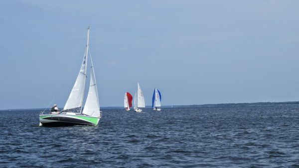 La solitaire – photo 36
