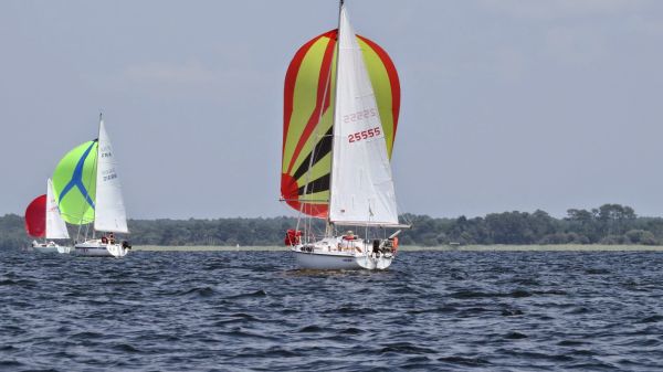 La solitaire – photo 48