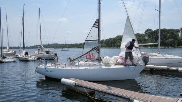 La solitaire – photo 5