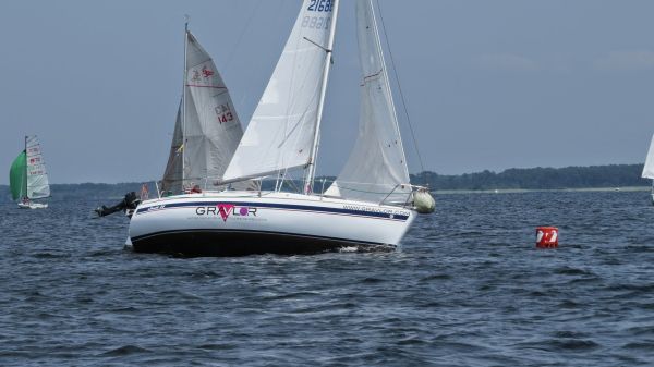 La solitaire – photo 38