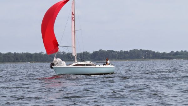 La solitaire – photo 54