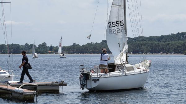 La solitaire – photo 13