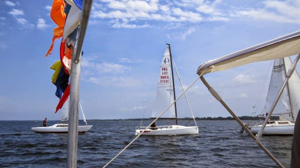 La solitaire – photo 24