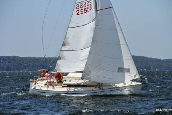 Trophée Meltis – photo 3