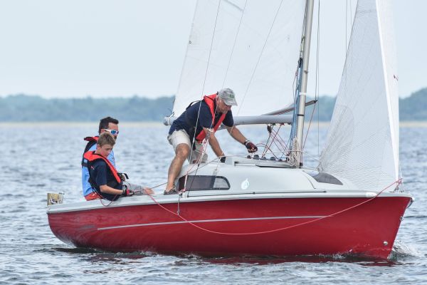 National 590 – photo 39