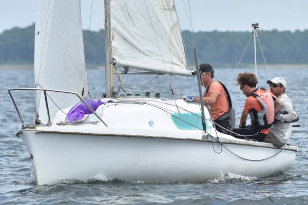 National 590 – photo 51