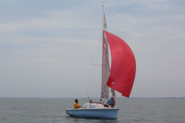 National 590 – photo 76