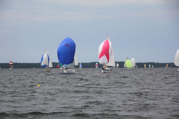 Coupe leclerc – photo 78