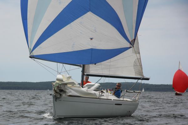 Coupe leclerc – photo 88