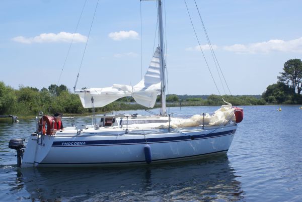 La solitaire – photo 2