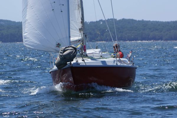 La solitaire – photo 107
