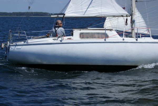 La solitaire – photo 134