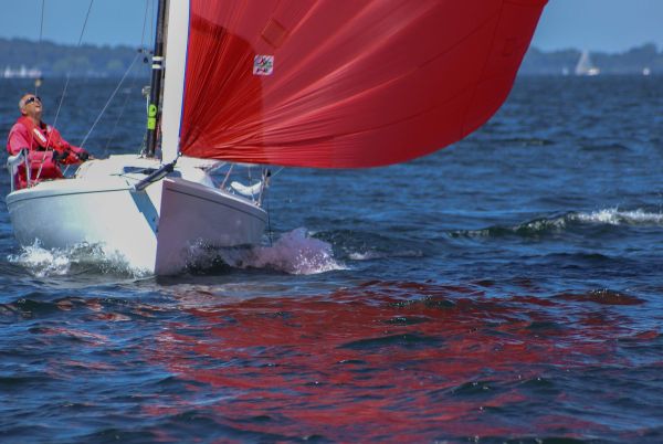 La solitaire – photo 115