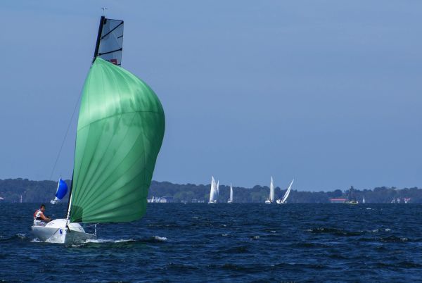 La solitaire – photo 117