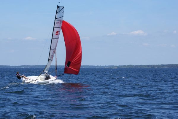 La solitaire – photo 59