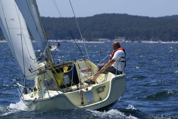 La solitaire – photo 86