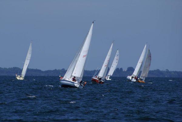 La solitaire – photo 43