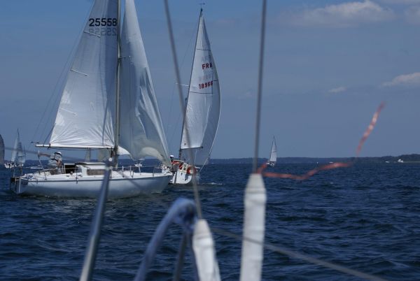 La solitaire – photo 22