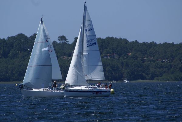 La solitaire – photo 66