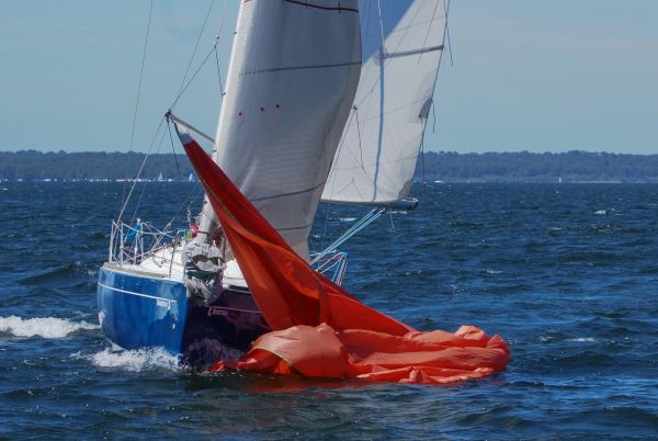 La solitaire – photo 141