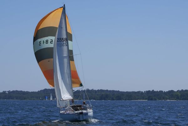 La solitaire – photo 135
