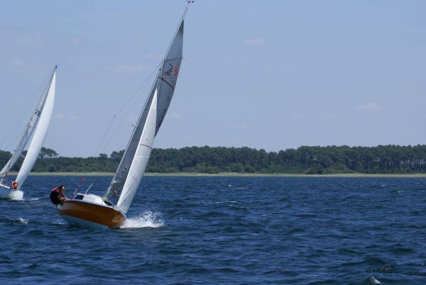 La solitaire – photo 94