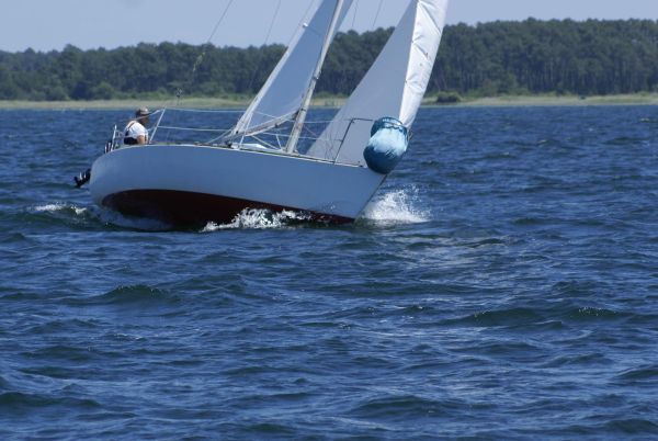 La solitaire – photo 88