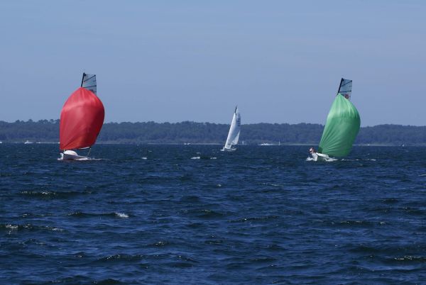 La solitaire – photo 116