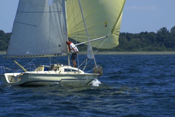 La solitaire – photo 50