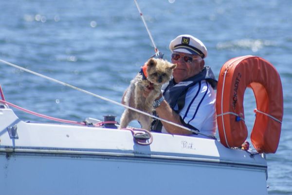 La solitaire – photo 24