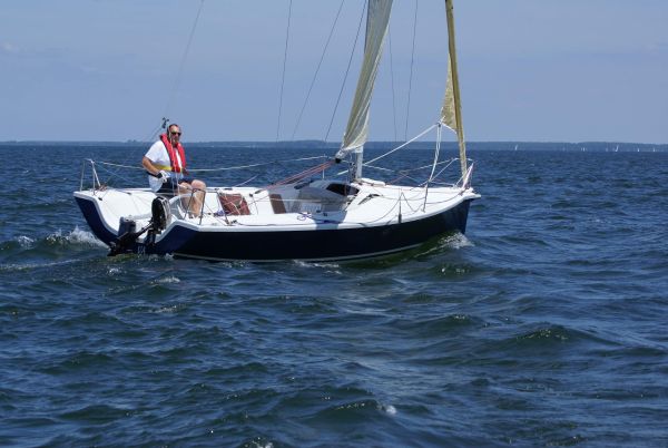 La solitaire – photo 38