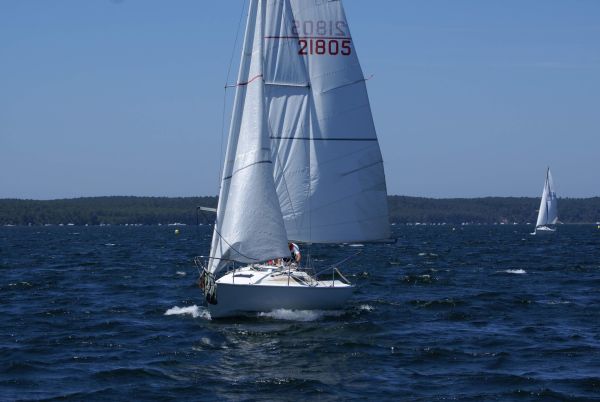 La solitaire – photo 65