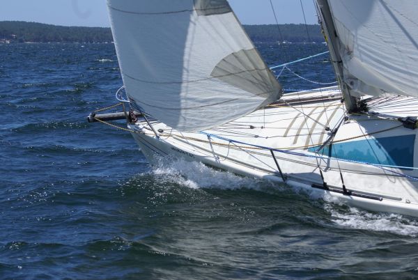 La solitaire – photo 113