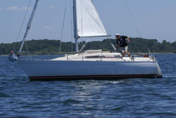 La solitaire – photo 18
