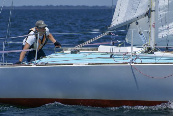 La solitaire – photo 62