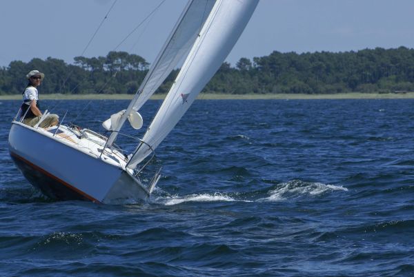 La solitaire – photo 89