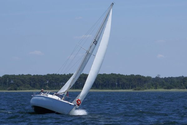 La solitaire – photo 95