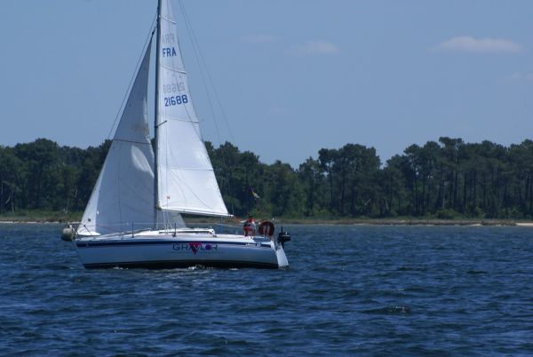 La solitaire – photo 25