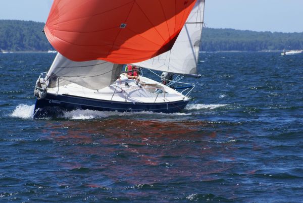 La solitaire – photo 139