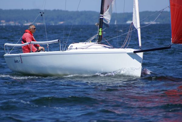 La solitaire – photo 47