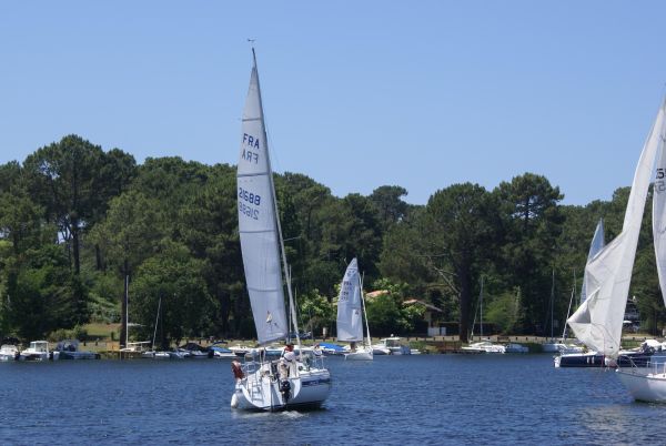 La solitaire – photo 11