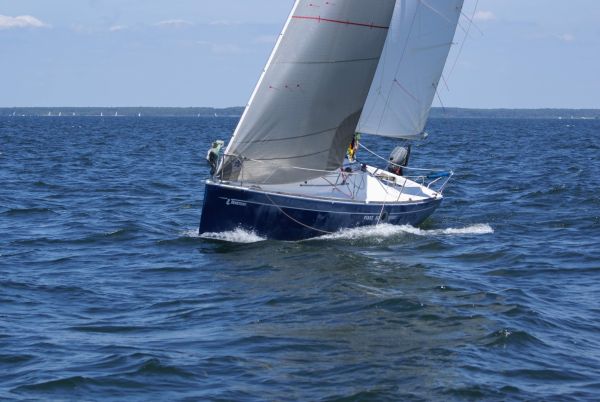 La solitaire – photo 103